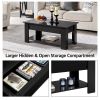 Modern 38.6" Rectangle Wooden Lift Top Coffee Table with Lower Shelf; Multiple Colors and Sizes