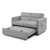 Loveseats Sofa Bed with Pull-out Bed;  Adjsutable Back and Two Arm Pocket